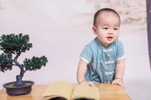黔西可爱的企鹅宝宝